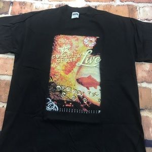 Vintage Counting Crows Summer Tour Concert